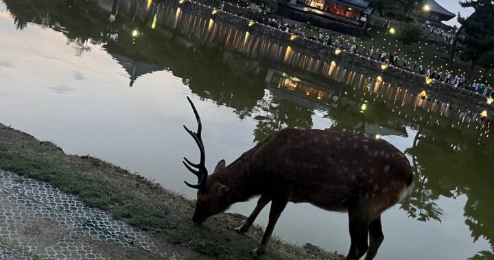 外国人と話して気づいた「日本ってそうなんだ！」と思った瞬間まとめ