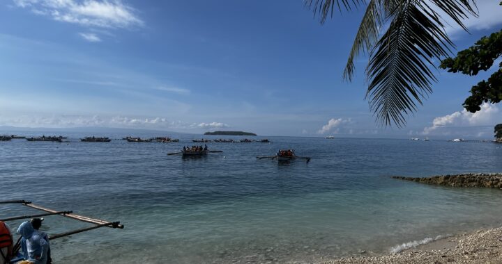 セブ島オスロブ体験記③｜ジンベイザメとタマログ滝を巡る1日